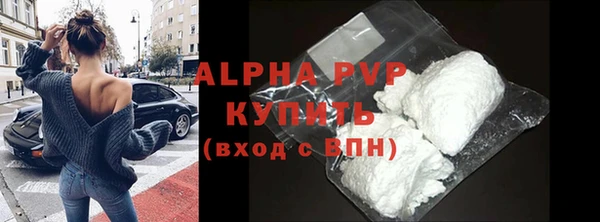 ГАЛЛЮЦИНОГЕННЫЕ ГРИБЫ Осинники
